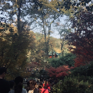 pp电子2018冬日岳麓山爬山活动